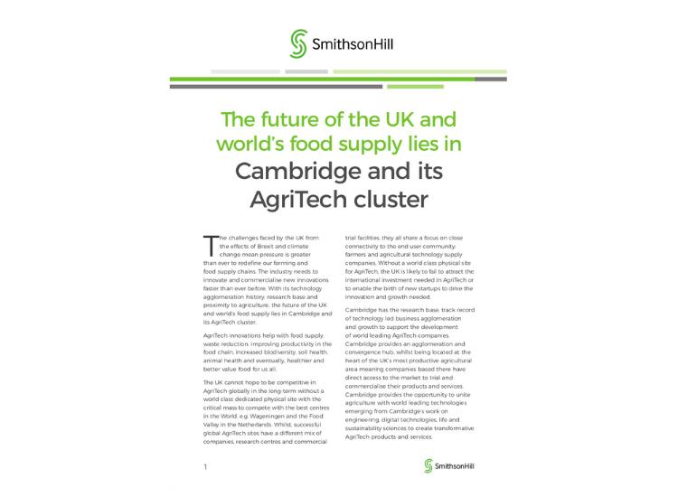 First page of Food Strategy submission